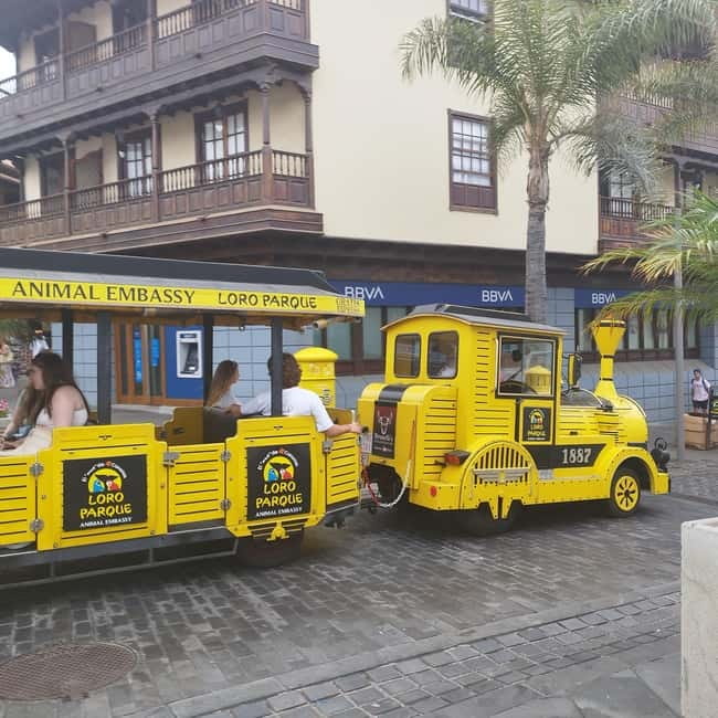 1-2 hour walking route through Puerto de la Cruz, Tenerife - Key highlights you’ll feel right away