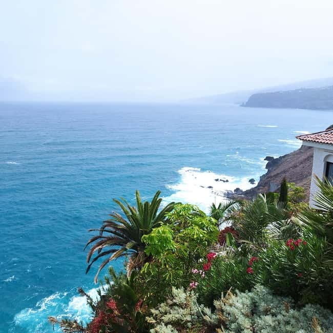 1-2 hour walking route through Puerto de la Cruz, Tenerife - Who should book this ocean-view walk in Puerto de la Cruz