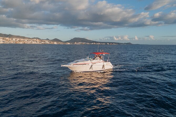 2 Hour VIP Private Luxury Sunset Boat Charter in Tenerife - The cava reception: polished comfort before the cruise even starts