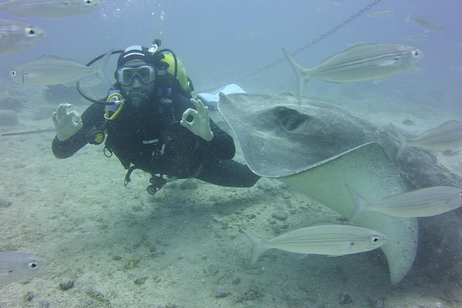 2x diving package, on request including refreshment - Small-Group Time with Instructors: The Real Advantage