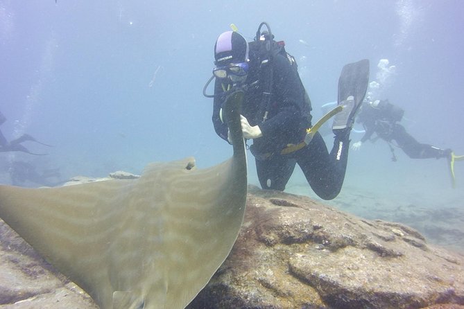 2x diving package, on request including refreshment - Price vs. Costs You’d Normally Add Elsewhere