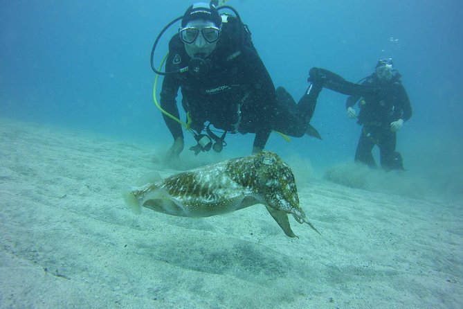 2x diving package, on request including refreshment - Meeting Ocean Trek in Costa Adeje: Suit-Up and Real Planning