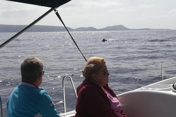 3-Hour Boat Trip from Costa Adeje in Tenerife - Dolphins and Whales: How to Maximize Your Odds