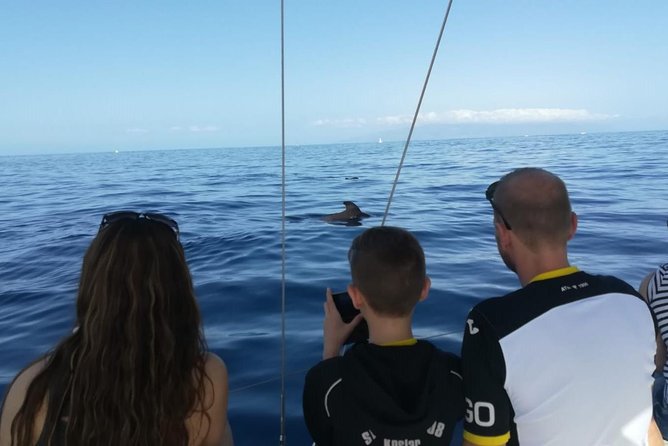 3-Hour Boat Trip from Costa Adeje in Tenerife - Swimming and Snorkeling Breaks (And What to Expect Onboard)