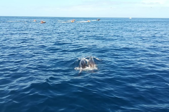 3-Hour Boat Trip from Costa Adeje in Tenerife - On the Water: What You’re Actually Doing for Those 3 Hours