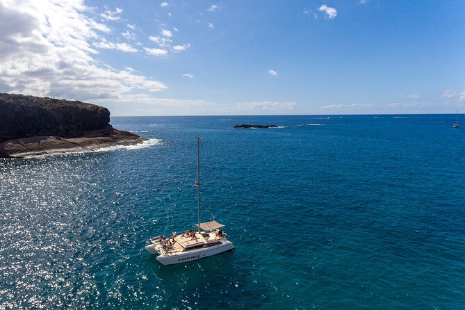3-hour catamaran excursion along the Costa Adeje - Puerto Colón Launch and the Chance to Spot Cetaceans