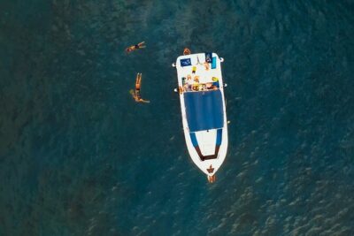 3-hour excursion to Puerto Colón Adeje to see whales - Meeting at Av. de Colón: the easiest way to start strong