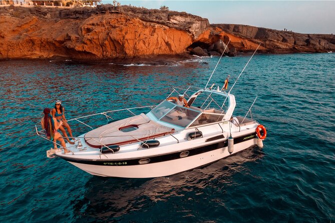 3 Hour Shared Motor Yacht Boat Trip & Snorkeling With Small Group - Wildlife time off Costa Adeje: how dolphin and whale spotting fits in
