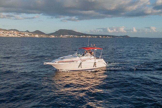 3 Hour VIP Private Luxury Boat Charter in Tenerife - The value question: is $540 for up to 6 worth it?