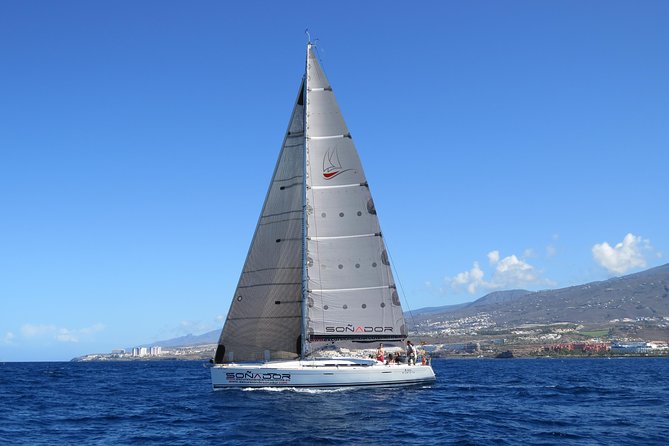 3 Hours All Inclusive Whale and Dolphin Whatching Yacht Trip - Soñador Sailing Yacht: what makes this 3-hour trip work