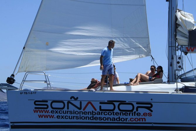 3 Hours All Inclusive Whale and Dolphin Whatching Yacht Trip - Wildlife watching off Tenerife: how to enjoy it properly