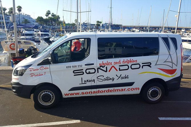 3 Hours All Inclusive Whale and Dolphin Whatching Yacht Trip - The Tenerife coastline route: Los Gigantes and Masca in one outing