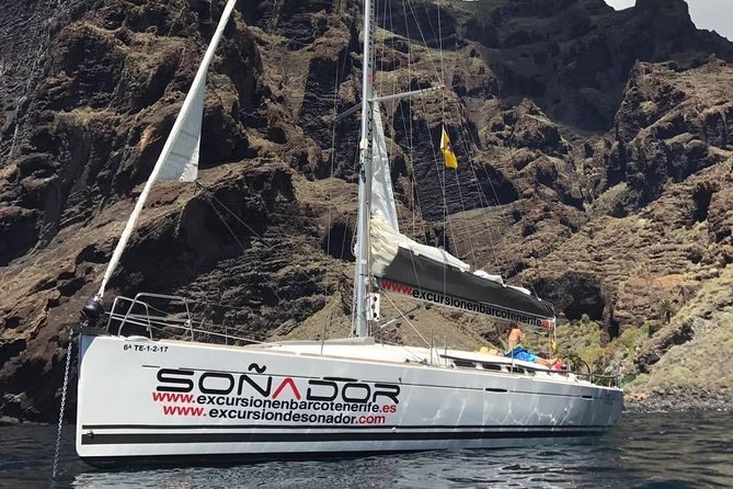 3 Hours All Inclusive Whale and Dolphin Whatching Yacht Trip - Price and value: what $52.36 buys you