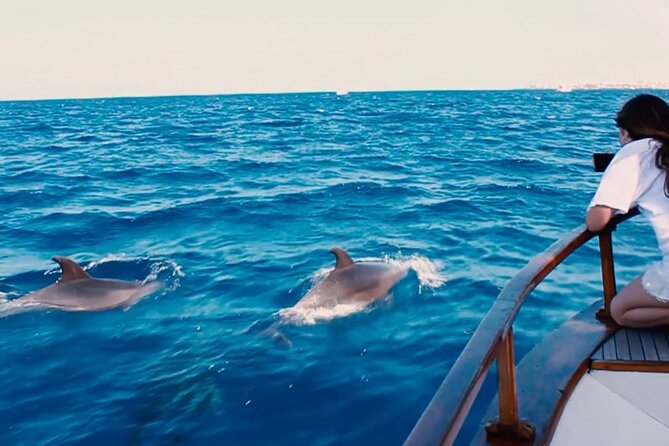 3-Hours Private Tour to Accessible Boat en Canary Island - Price and value for a private group up to 10