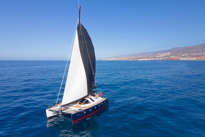 3 hrs. Whale Watching and Relaxing Chill Out Catamaran with glass floor - Key highlights at a glance