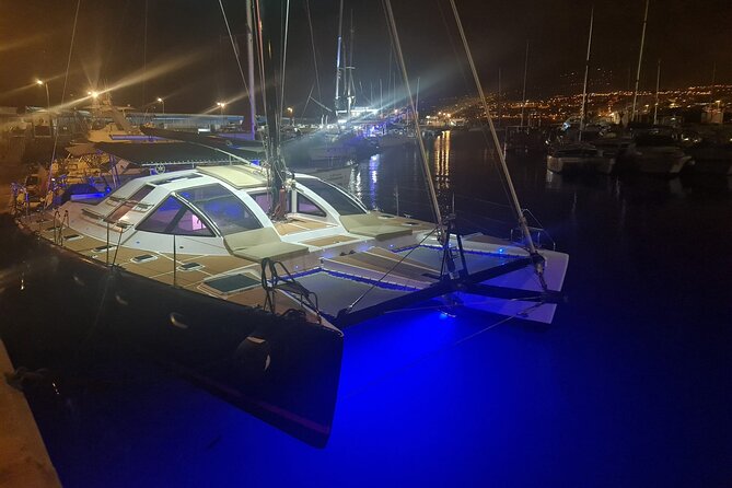 3 hrs. Whale Watching and Relaxing Chill Out Catamaran with glass floor - The southwest bay anchor stop: relax, swim, and snorkel on your terms
