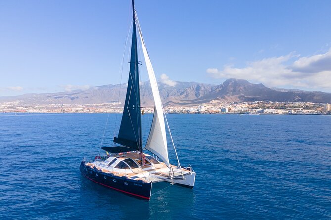 3 hrs. Whale Watching and Relaxing Chill Out Catamaran with glass floor - Sailing back along the west coast with the drinks flowing