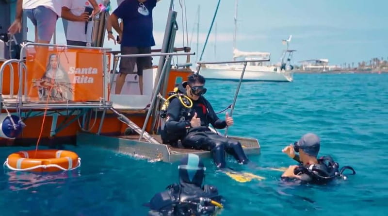3H Shared Barrier-Free Cruise with Turtles Dolphins & Whales - Key points before you go