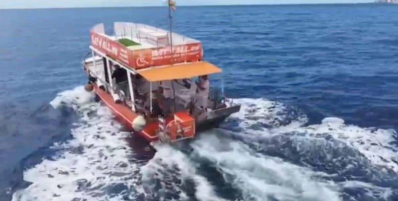 3H Shared Barrier-Free Cruise with Turtles Dolphins & Whales - Food and drinks on board: more than a snack break