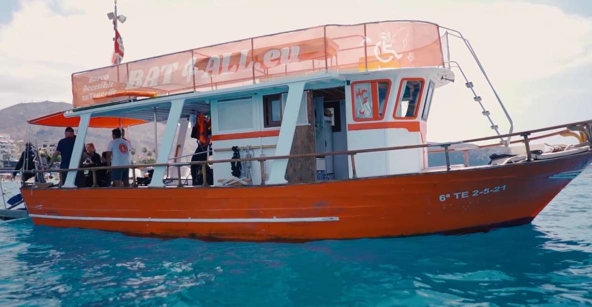 3H Shared Barrier-Free Cruise with Turtles Dolphins & Whales - Comfort on deck: shade, space, and the “move without panic” factor
