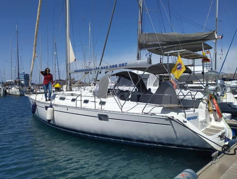 3h Whale Watching Private tour Beneteau Oceanis 440 - Key things to know before you go