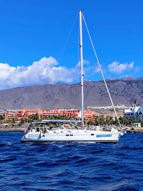 3h Whale Watching Private tour Beneteau Oceanis 440 - Puerto Colón departure on a Beneteau Oceanis 44 with full-sail comfort