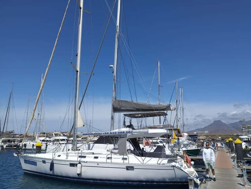 3h Whale Watching Private tour Beneteau Oceanis 440 - The short-and-focused whale watching stop for pilot whales and dolphins