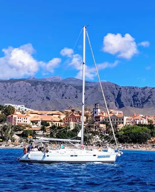 3h Whale Watching Share Tour Beneteau Oceanis 440 - Key highlights at a glance