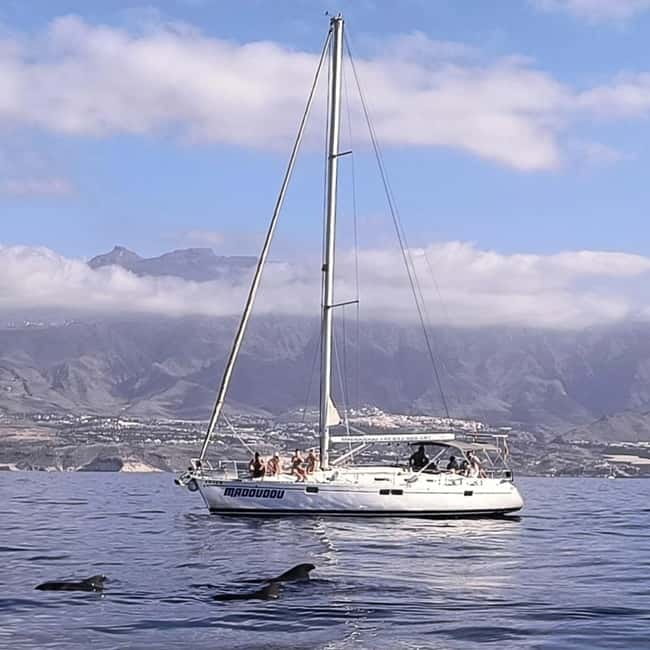 3h Whale Watching Share Tour Beneteau Oceanis 440 - The itinerary in real time: sailing, a 1-hour whale session, then a secret stop