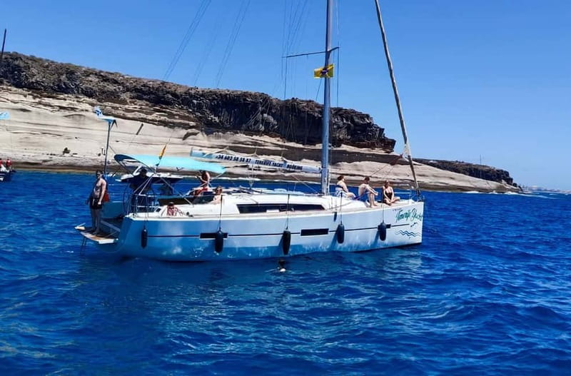3h Whale watching Share Tour Costa Adeje Lina7 Mizendoha - Key Things I’d Prioritize Before You Go