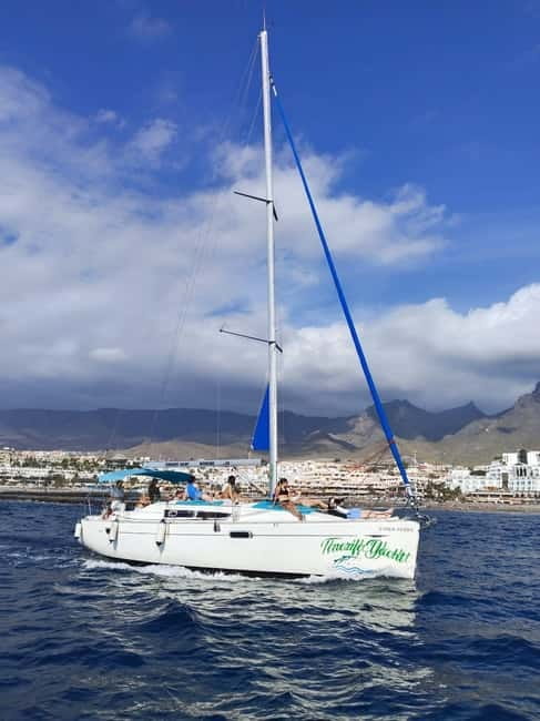 3h Whale watching Share Tour Costa Adeje Lina7 Mizendoha - Who This Tour Suits Best (and Who Should Think Twice)