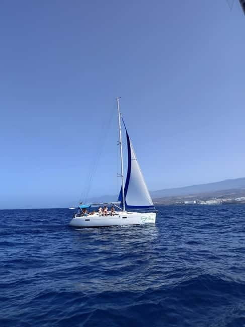 3h Whale watching Share Tour Costa Adeje Lina7 Mizendoha - The Swim and Snorkeling Stop in Costa Adeje