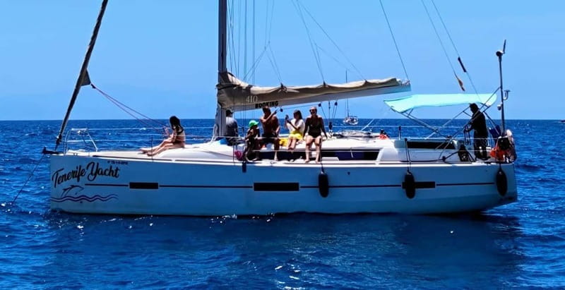 3h Whale watching Share Tour Costa Adeje Lina7 Mizendoha - The Whale-Watching Focus: Pilot Whales Off Tenerife’s South Coast