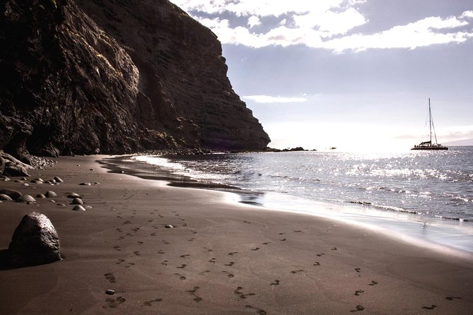 5 hr watching and listening whales and dolps. Visit Los Gigantes - Crew quality and small-group feel