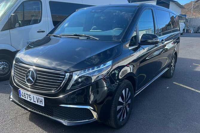 8-Hour Rental in a Luxury Car and Driver/Official Private Guide in Tenerife - How the 8-Hour Format Fits Real Travel Days in Tenerife