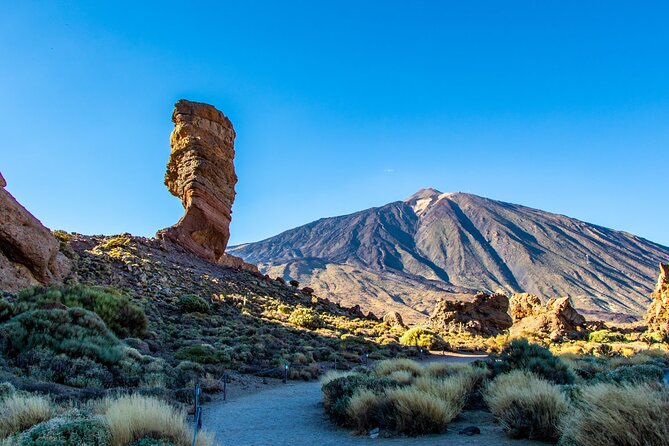 8-Hour Rental in a Luxury Car and Driver/Official Private Guide in Tenerife - Group Size and Pace: Who This Day Suits Best