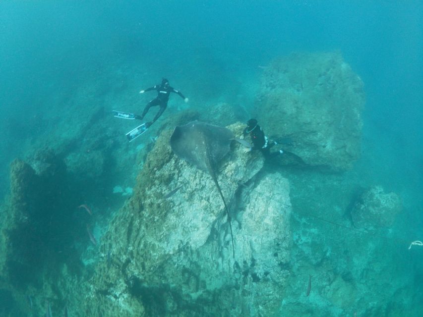 Abades: Tenerife Turtles and Rays Snorkeling Trip - What you’ll swim over: Tenerife’s volcanic underwater terrain