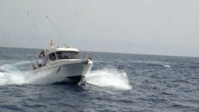 Adeje: 3.5–Hour Professional Fishing Experience - What happens offshore: trolling, tossing, bottom-fishing, and rod time