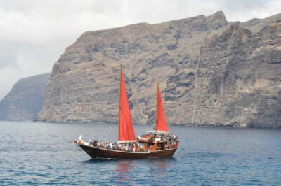 Adeje: Whale Watching Tour to Los Gigantes with lunch & swim - The 11:00 Departure and the Wildlife Search That Actually Gets Time