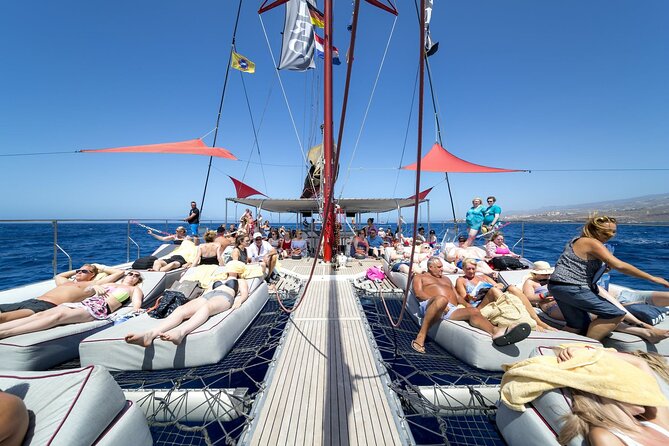 Adults Only Tenerife Freebird Whale Dolphin Catamaran with Lunch - A calm adults-only catamaran for whale and dolphin spotting
