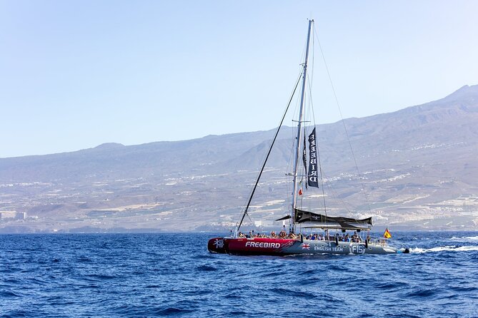 Adults Only Tenerife Freebird Whale Dolphin Catamaran with Lunch - Lunch and drinks on board: where value actually shows up