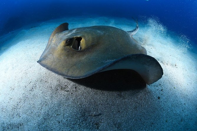 ADVANCED OPEN WATER CERTIFICATION - Improve your scuba diving skills up to 30m ! - Weather and scheduling: simple rules to plan around