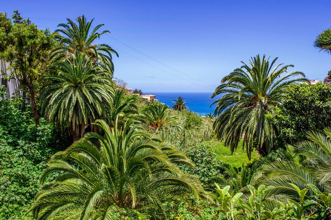 Anaga Private Tour: Valleys of Nature and Tradition - Stop 2: Taganana’s Hamlets and the Black Volcanic Beach Lineup