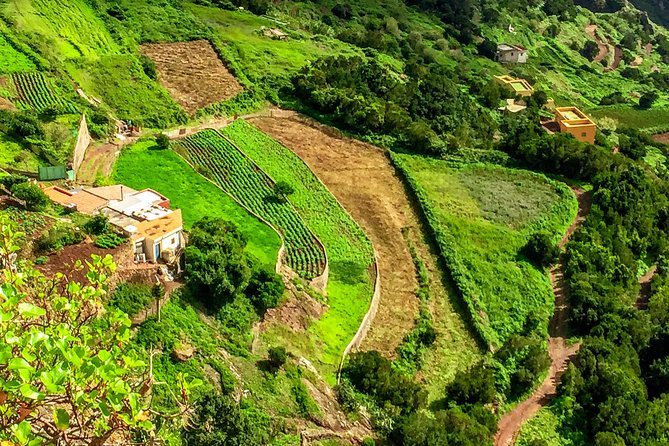 Anaga Private Tour: Valleys of Nature and Tradition - The Guide Makes This Tour: Jaime’s Style and Your Day’s Tone