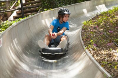 Arona: Entry Ticket to Tenerife's Jungle Park Zoo - Ticket Value and What You Actually Get for $41