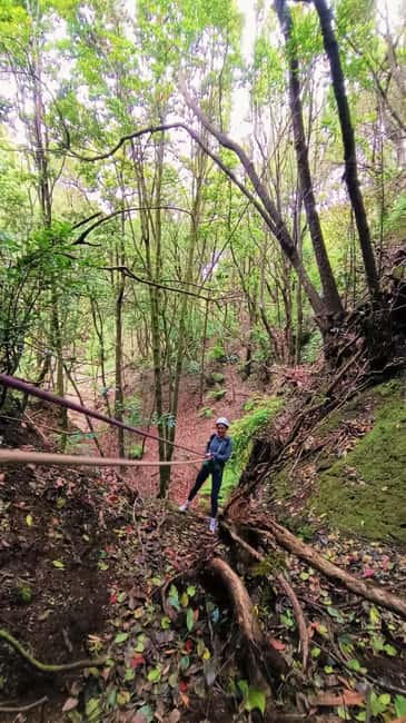 Barranquismo Tenerife: Canyoning Adventure - Should you book Barranquismo Tenerife with 8 MOSQUETONES ADVENTURE?