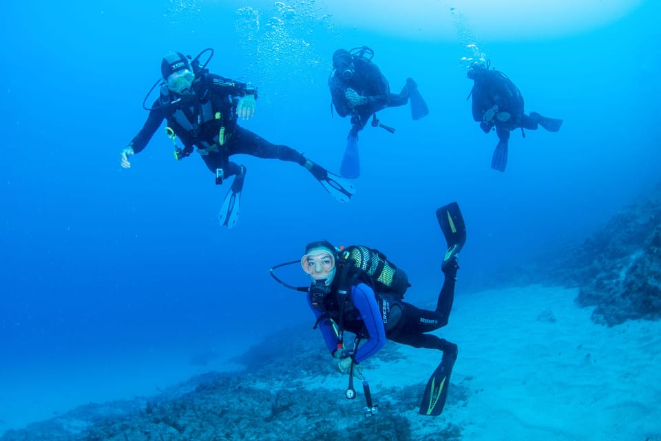 Beginner Scuba Dive with Scubapoint Tenerife in Turtle Area - Key things that make this beginner scuba session work