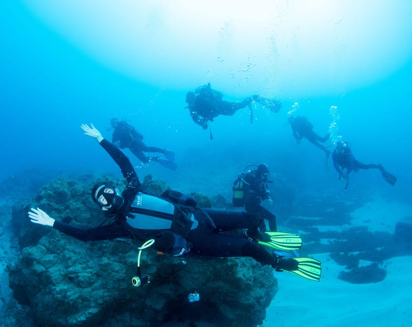 Beginner Scuba Dive with Scubapoint Tenerife in Turtle Area - Why try a beginner scuba check-out in Tenerife’s Turtle Area?
