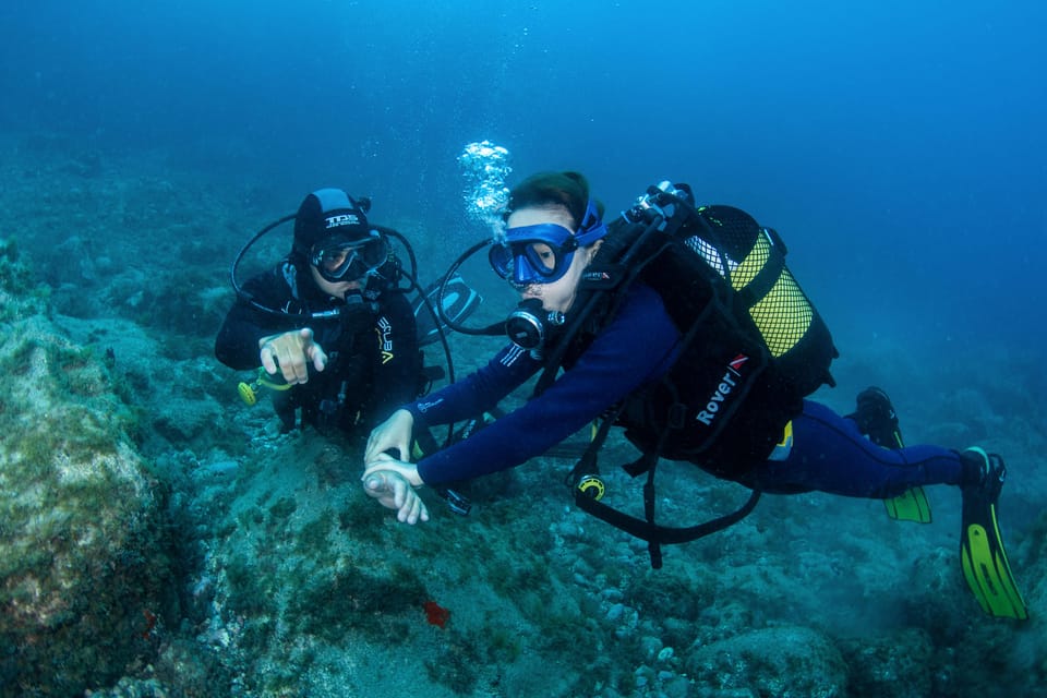 Beginner Scuba Dive with Scubapoint Tenerife in Turtle Area - Land training: how they teach you to handle the gear and safety basics