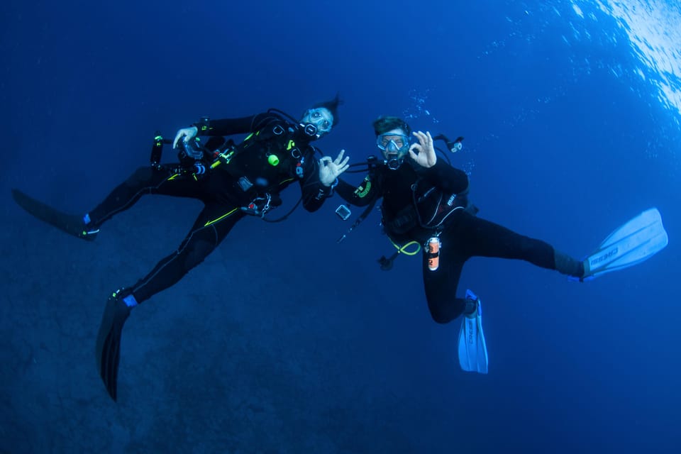 Beginner Scuba Dive with Scubapoint Tenerife in Turtle Area - Boat trip to your underwater spot: what to expect and what to watch